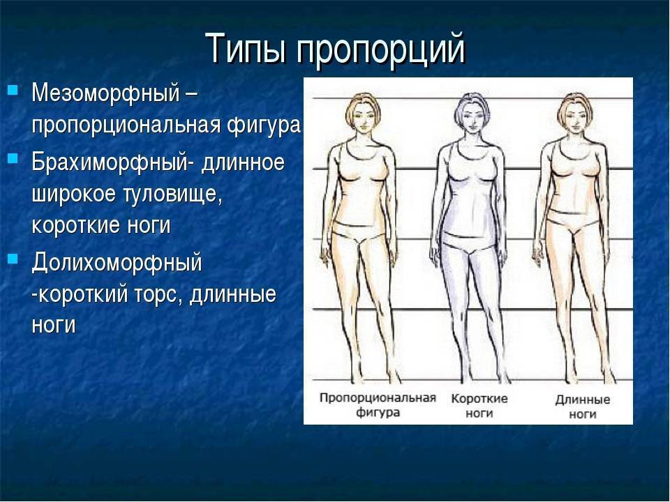 Фигура человека название. Характеристика внешней формы тела человека; типизация фигур. Типы пропорций тела человека. Пропорциональное Телосложение. Долихоморфный Тип телосложения.