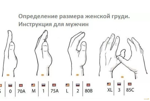 Размеры груди у женщин картинки