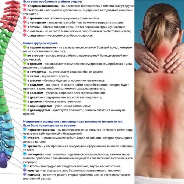 Может ли болеть поясница. Психосоматика позвонков шейный отдел. Боль в спине психосоматика таблица. Психосоматика болезней позвоночника грудного отдела позвоночника. Боли в грудном отделе позвоночника сзади психосоматика.