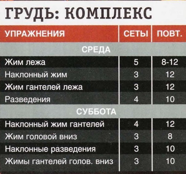 План тренировок дома для мужчин с гантелями и штангой