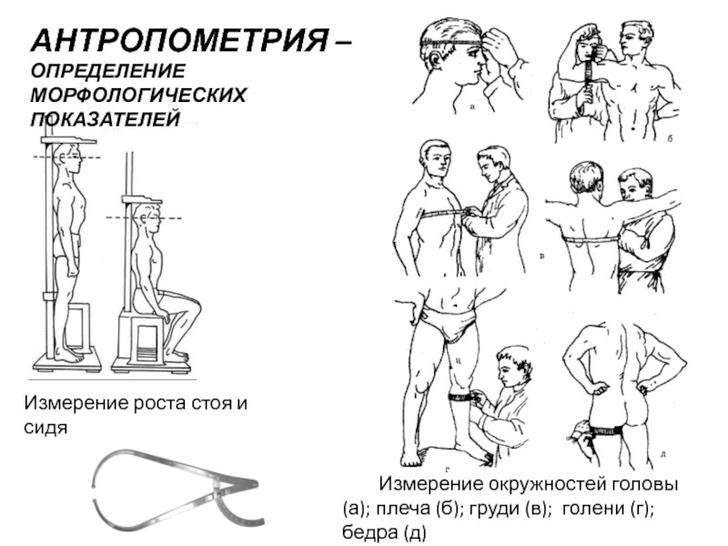 Антропометрические измерения