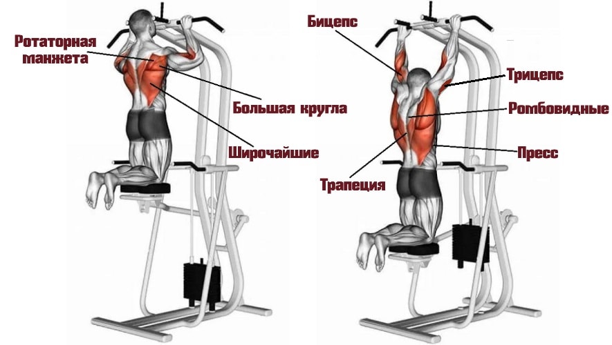 Упражнения на трицепс на турнике