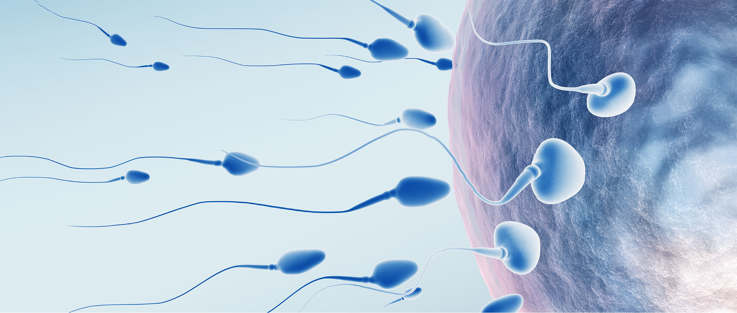 воздействие спермы на организм фото 109